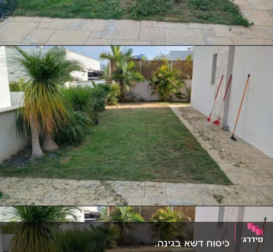 גינה עם דשא, עצים וכלי גינון על שביל